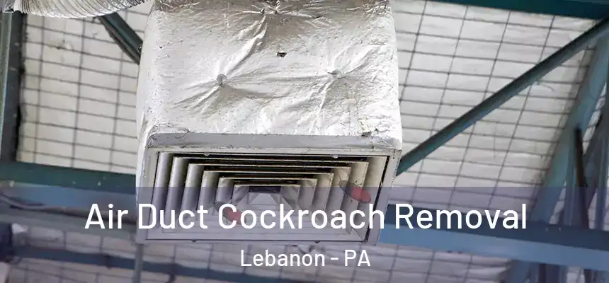  Air Duct Cockroach Removal Lebanon - PA