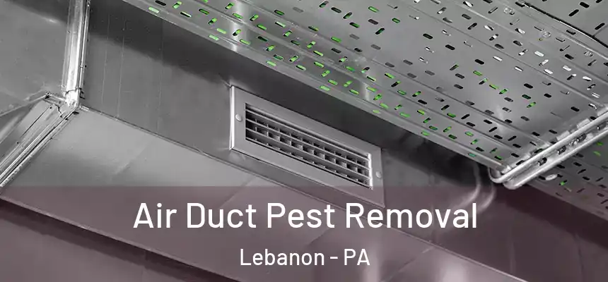 Air Duct Pest Removal Lebanon - PA