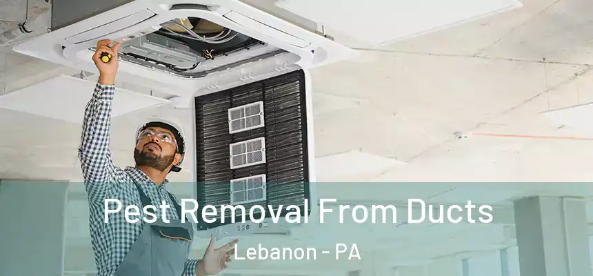 Pest Removal From Ducts Lebanon - PA