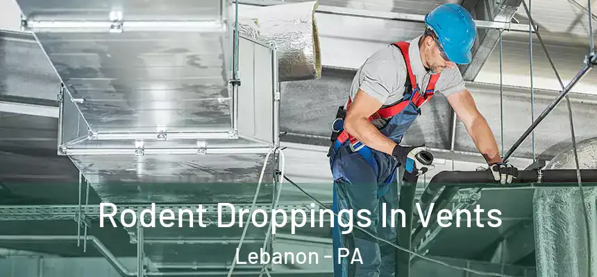  Rodent Droppings In Vents Lebanon - PA