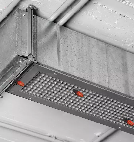 About Air Duct Cockroach Removal in Lebanon, PA