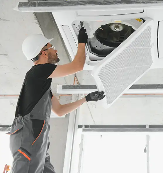 About Air Duct Rodent Removal in Lebanon, PA