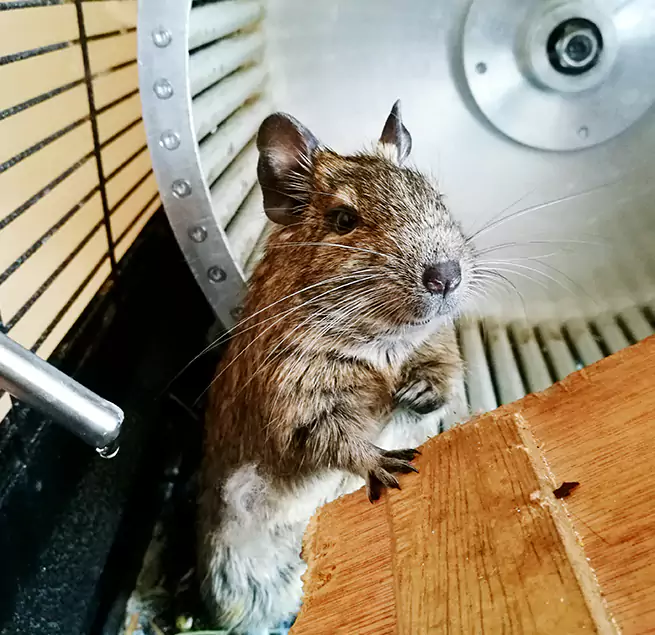 Why Homeowners & Businesses Trust Us Lebanon, PA